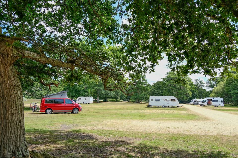 Camper and caravans on the grass