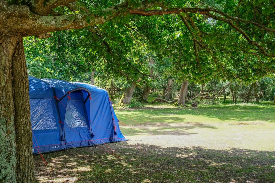 Tent pitched in dappled shade