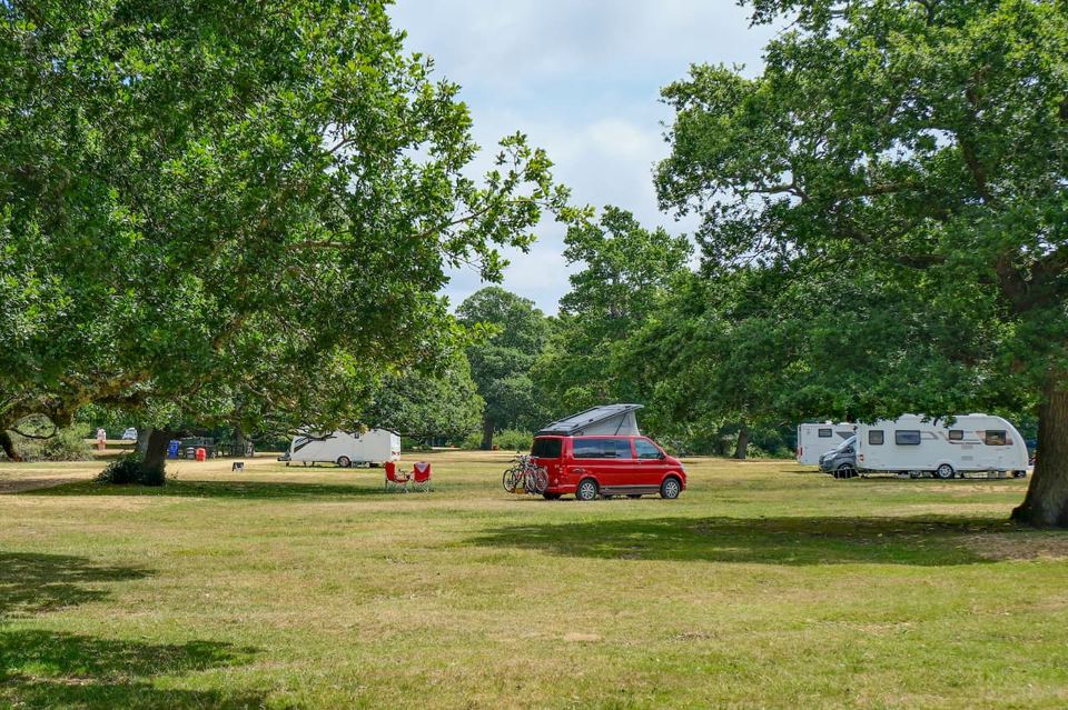 Campervans on open grass