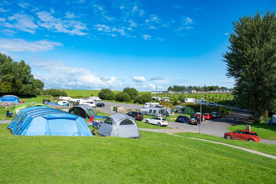 Tents on the grass pitches