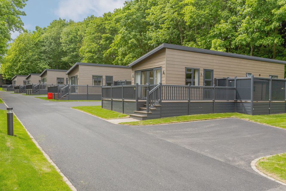 Row of lodges beside the road