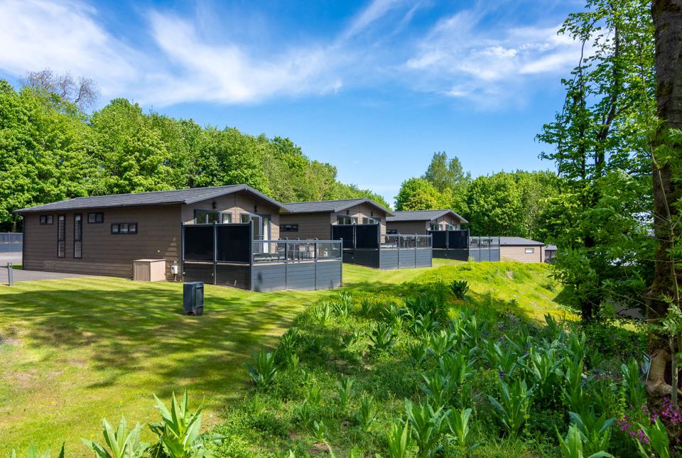 Lodges among the trees