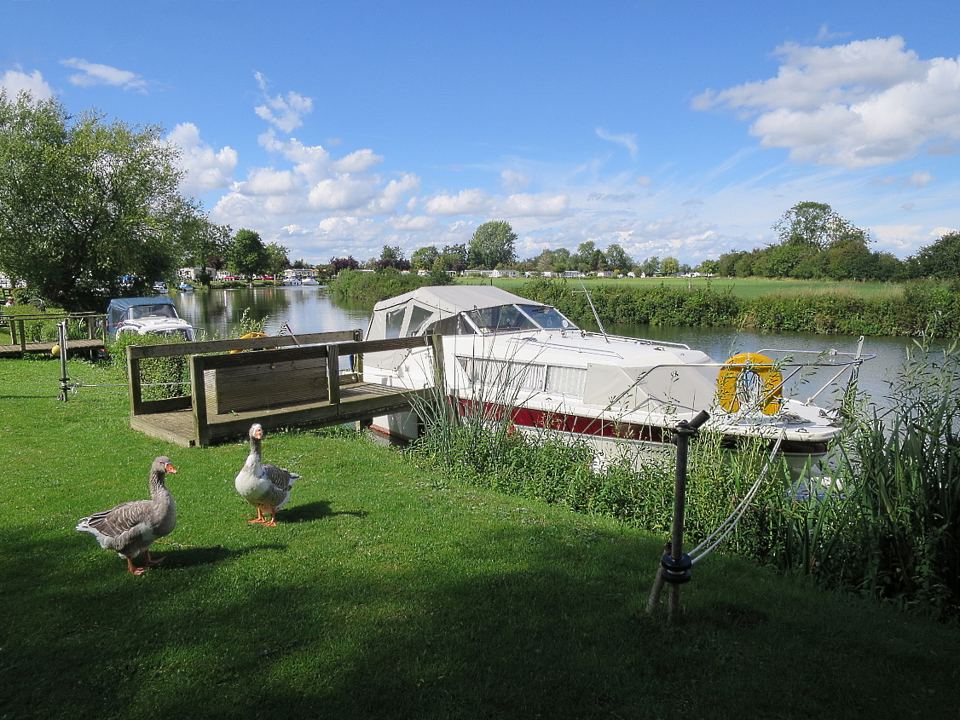 Boat and geese on the Thames