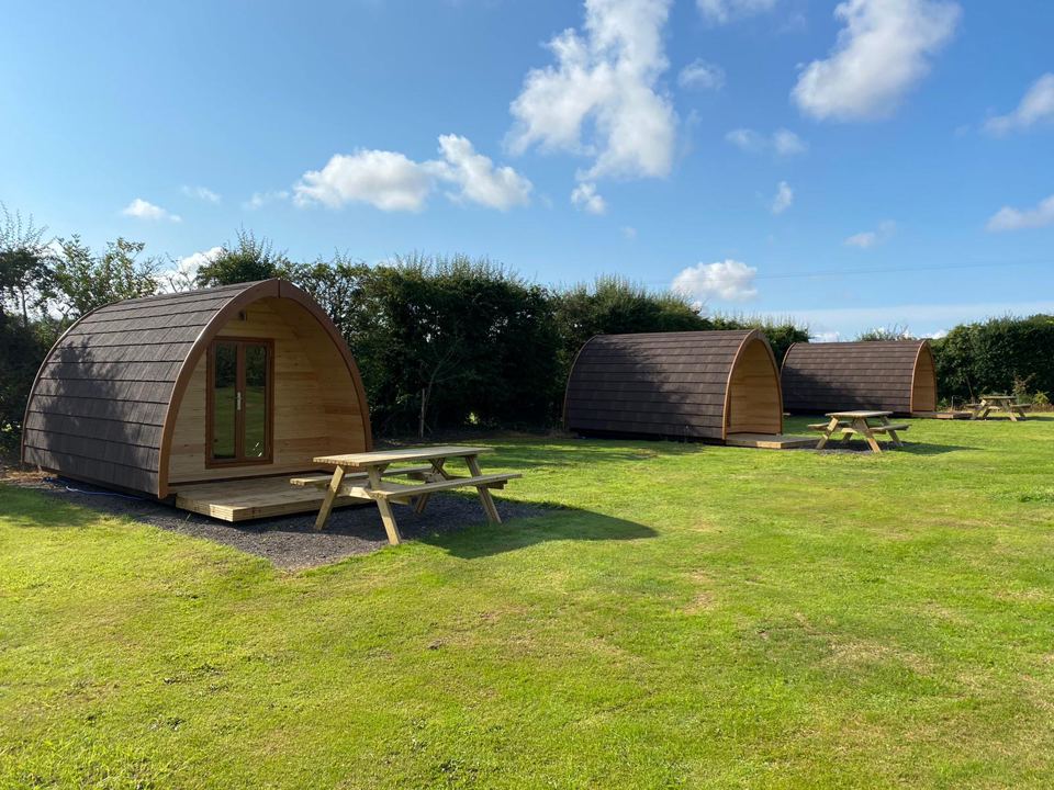 Pods by the hedge
