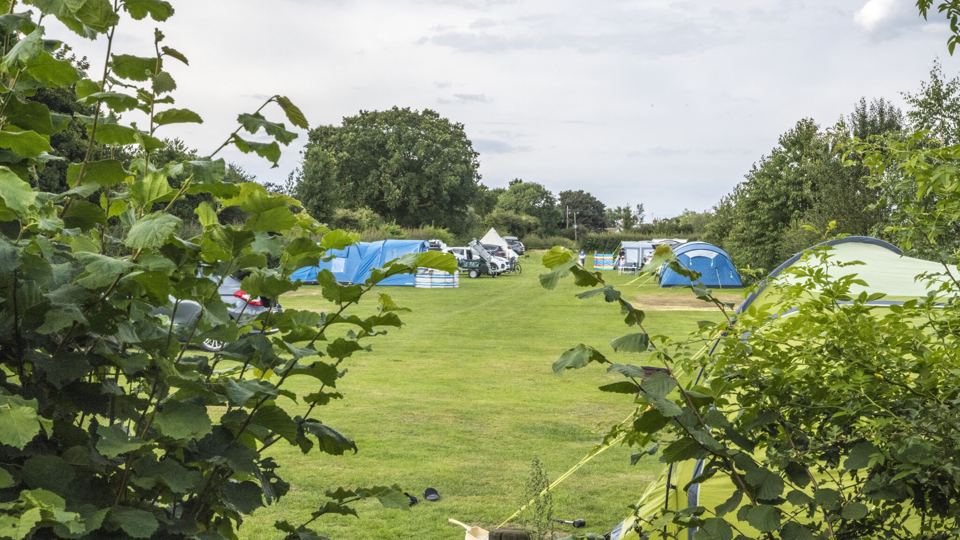 Tent pitches in the field