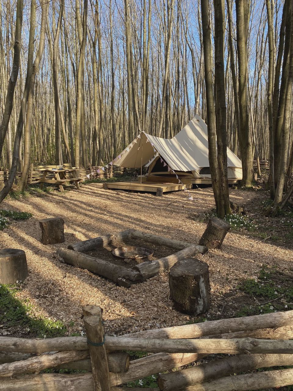 Bell tent and fire pit in the wood