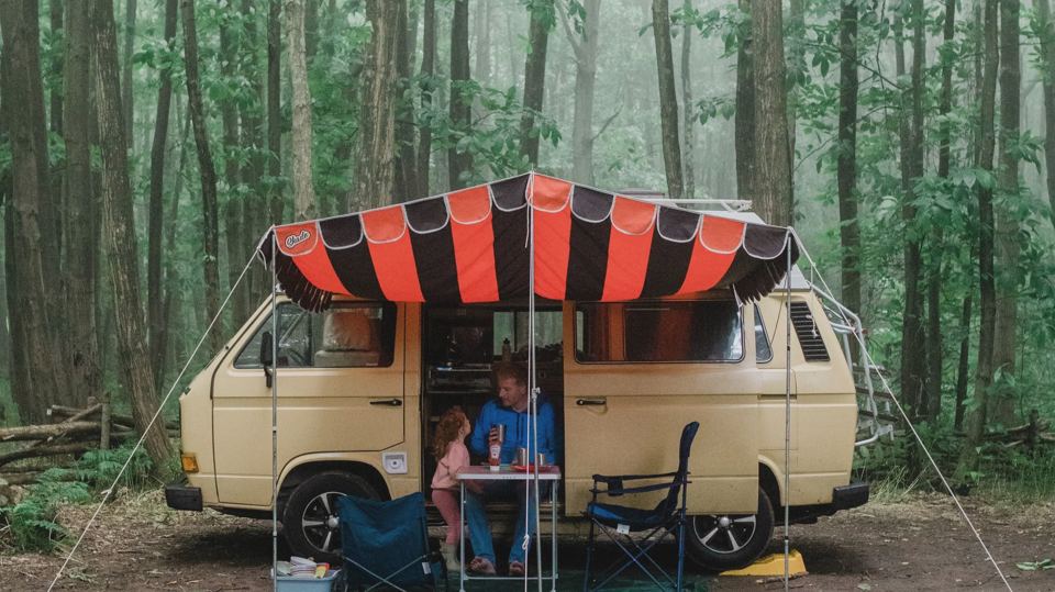 Vintage campervan in the trees