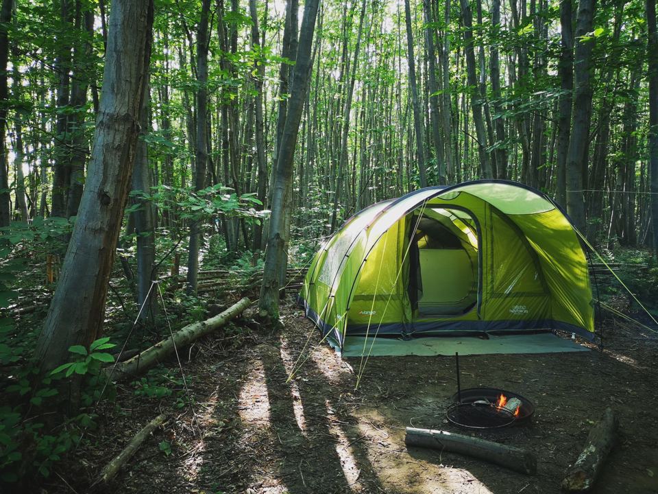 Tent and fire pit under trees