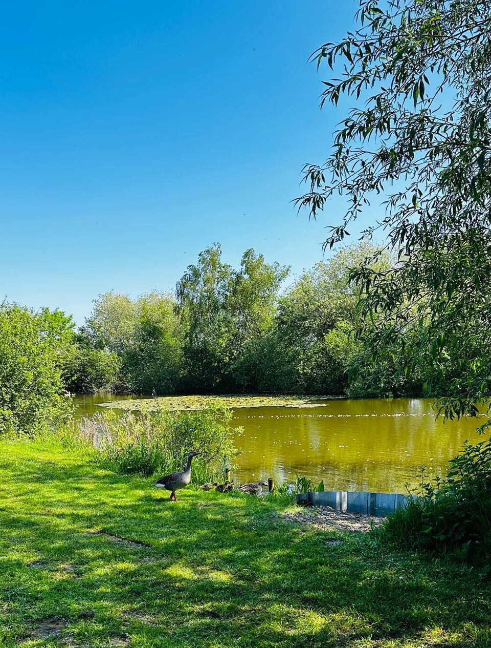 The fishing lake