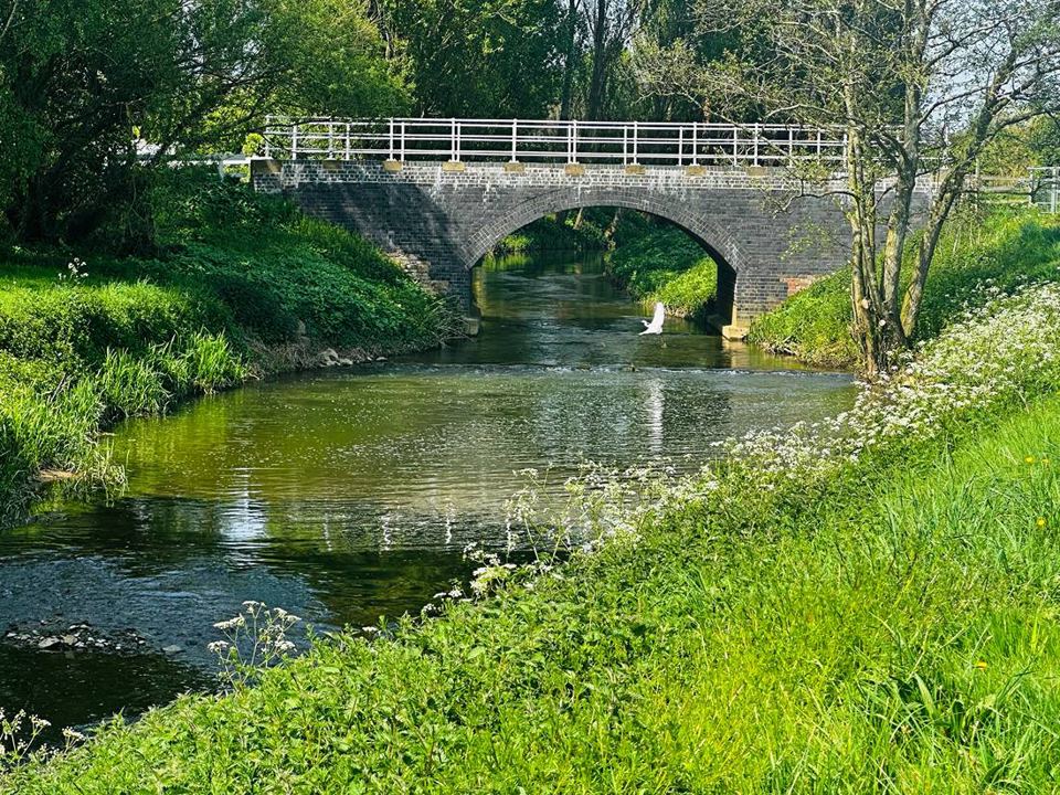 Stream and bridge by the site