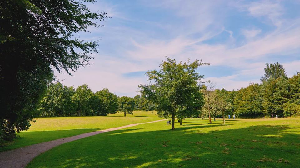 Open parkland next to the site