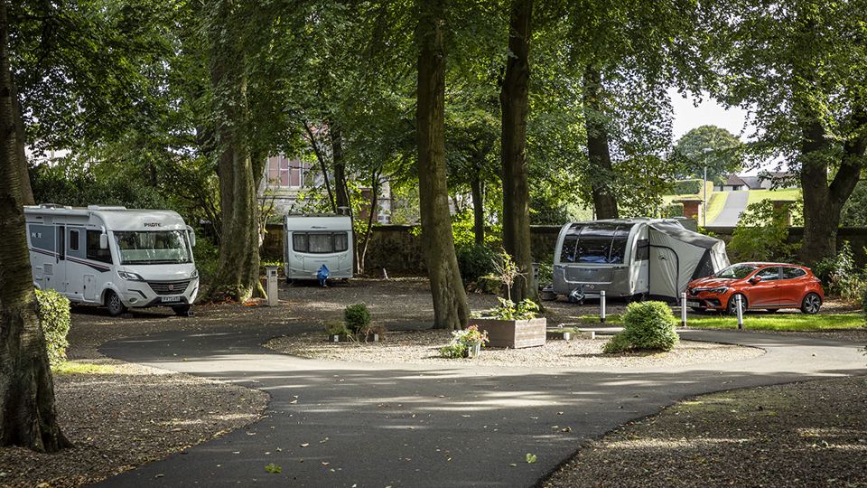 Pitches under mature trees