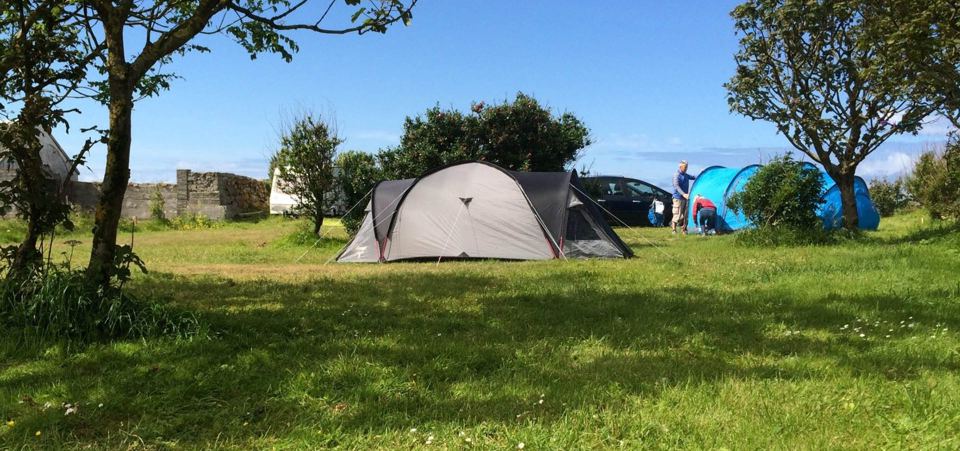 Tents among the trees