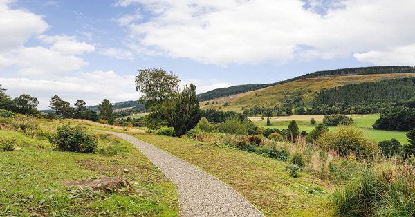 Path through the hillside