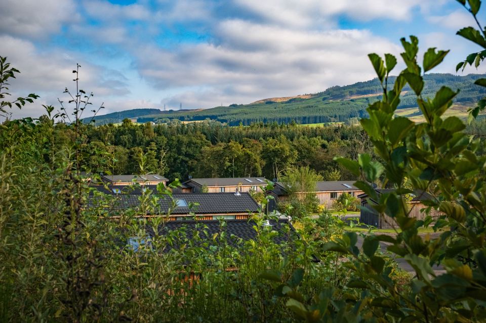 Lodges among the trees