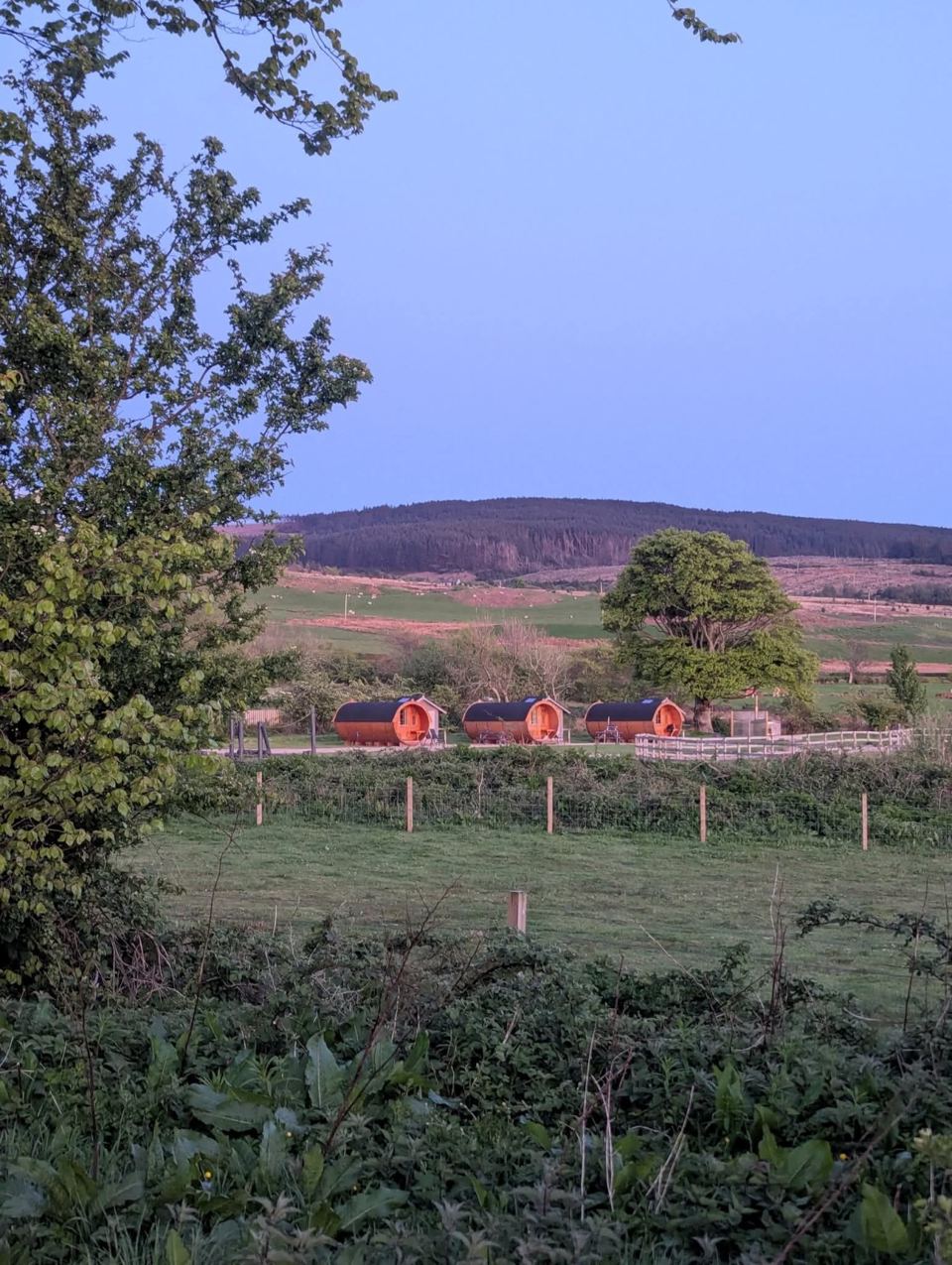 Pods across the paddock