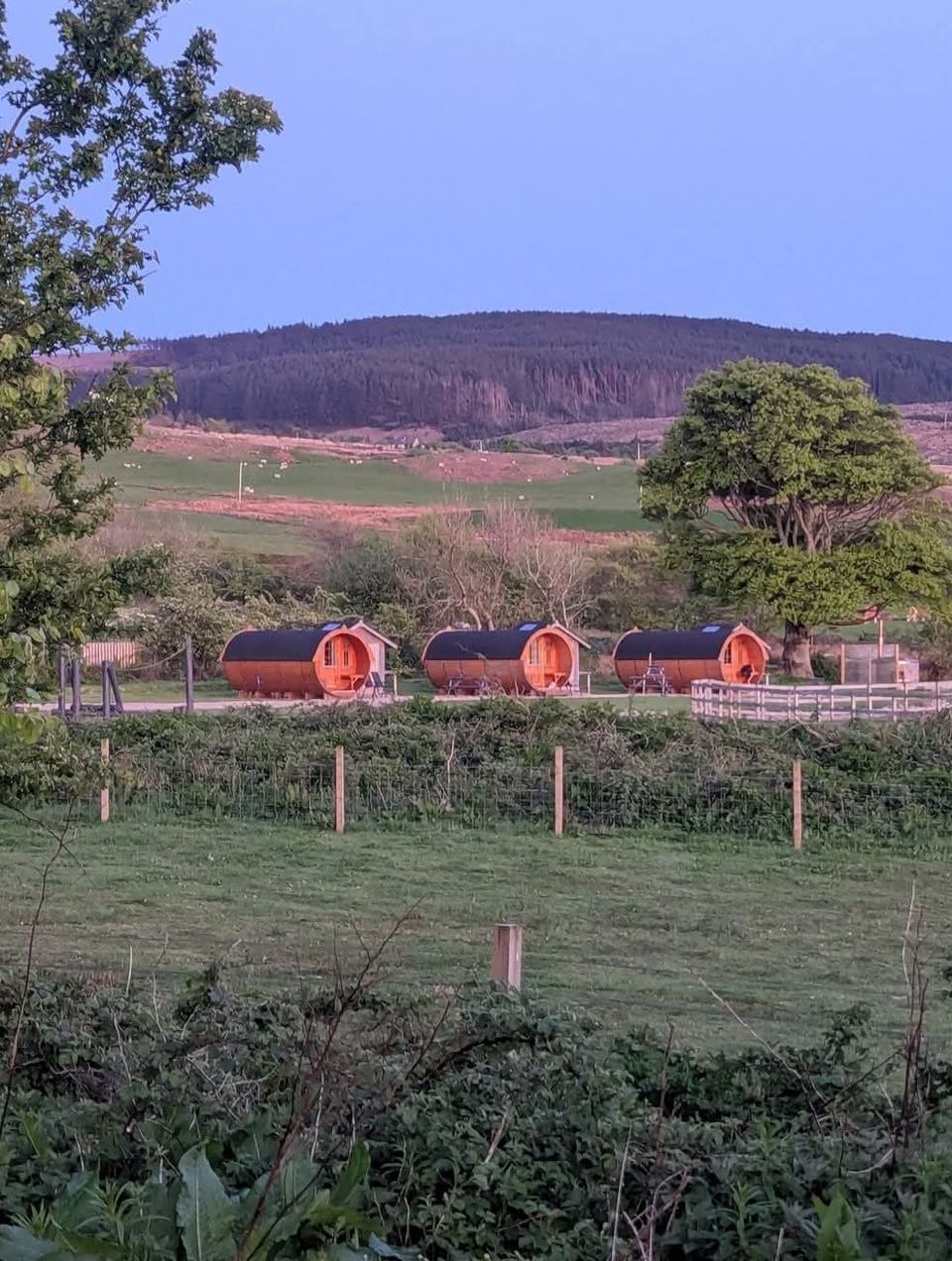 Row of barrel pods