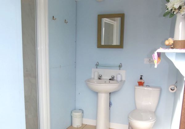 Shower room basin and toilet