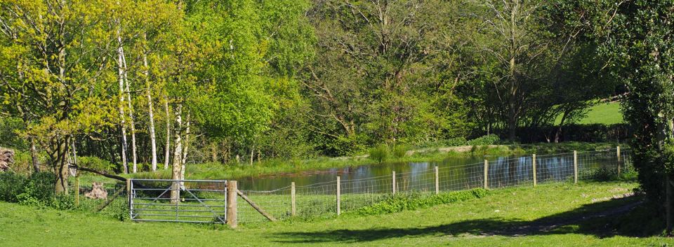 Fishing pond