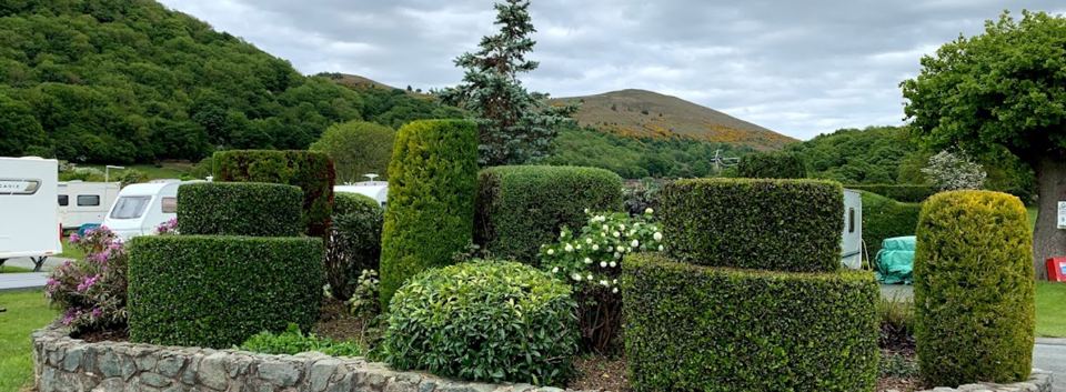 Gardens with the Breidden Hills behind