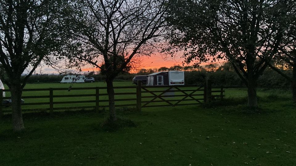 Field at dusk