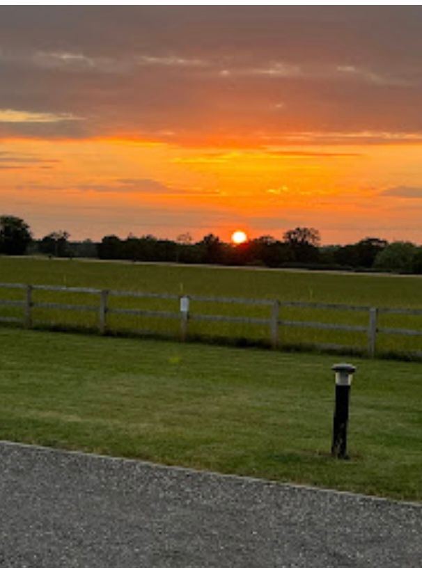 Sunset over the field