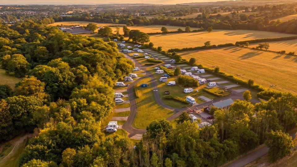 Site from above among trees