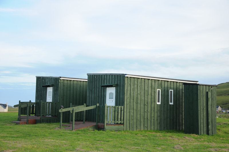 Row of green pods
