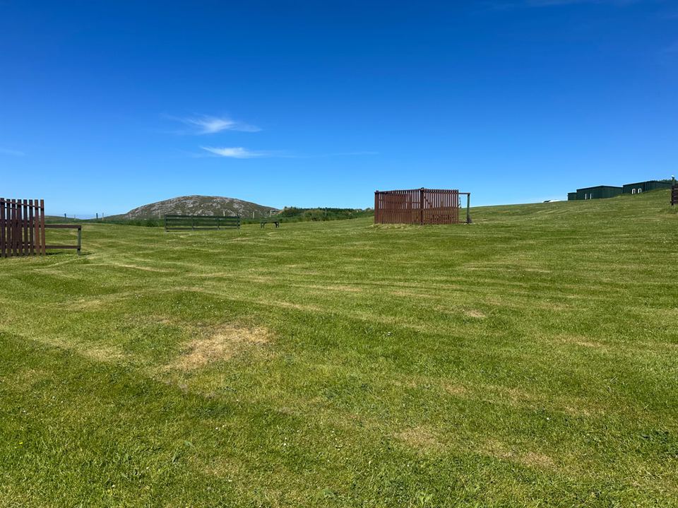 Mown tent field