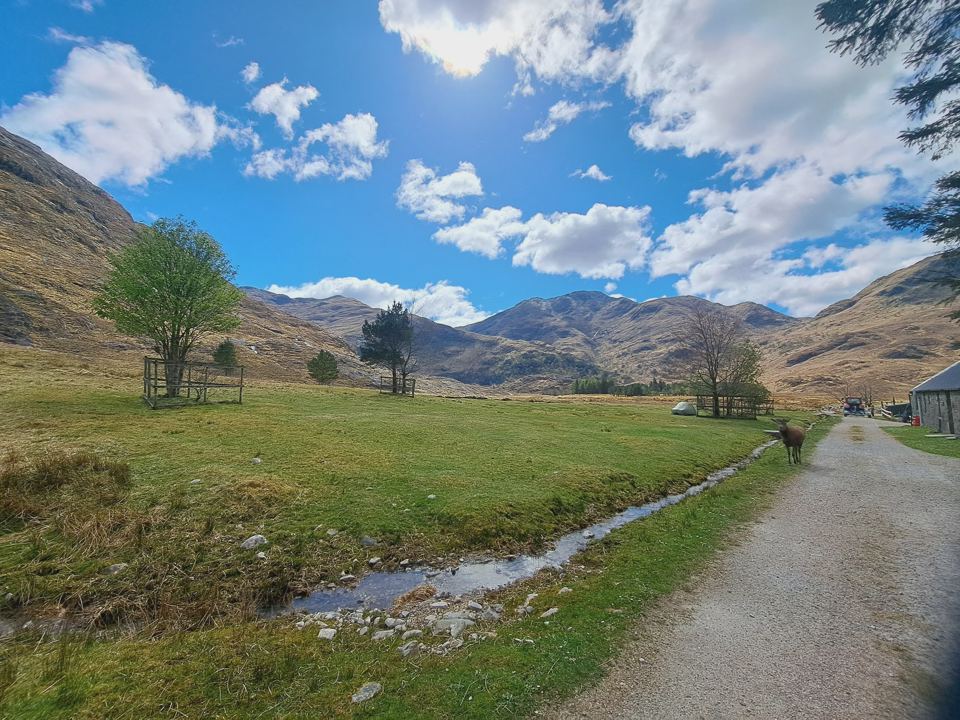 Camping field and estate track