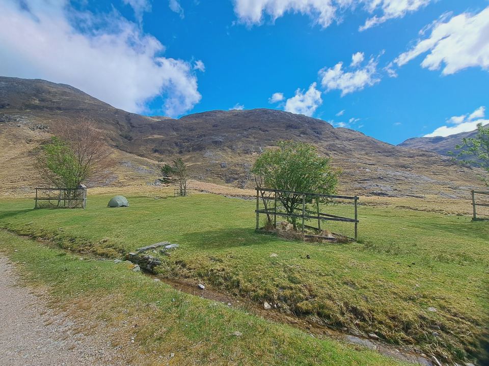 Campsite field beside the burn