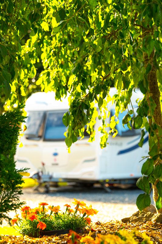 Caravan framed by flowers