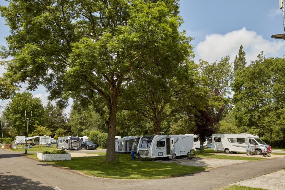 Tourers under the trees