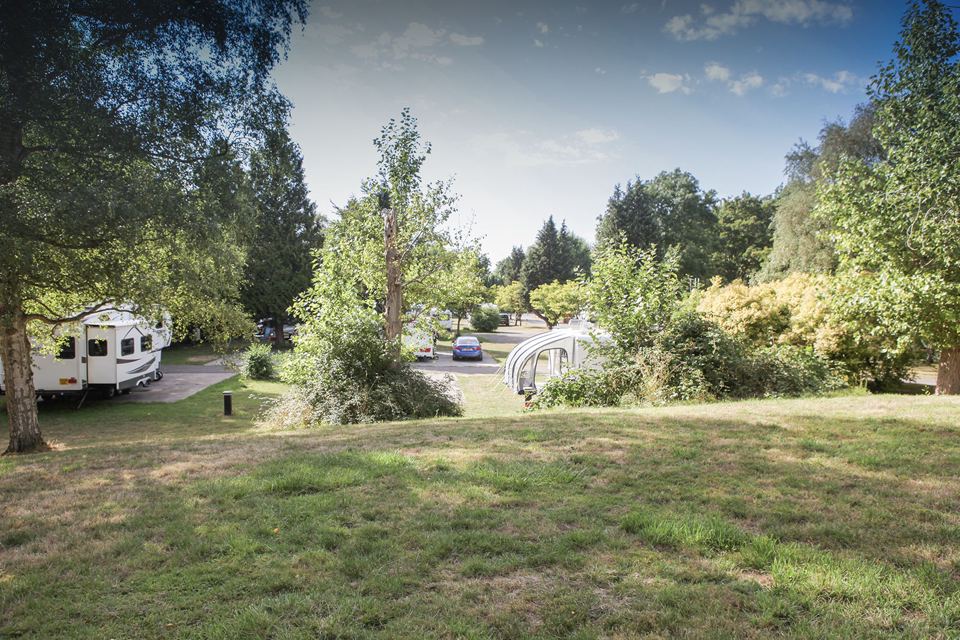 Pitches and lawns among the trees