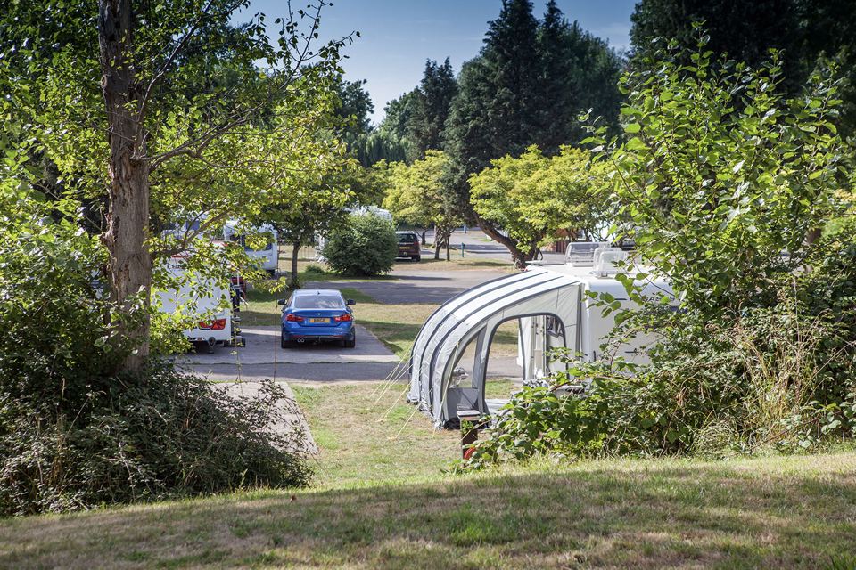 Pitch with awning among the trees