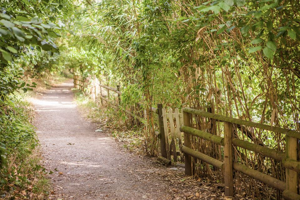 Riverside path by the park