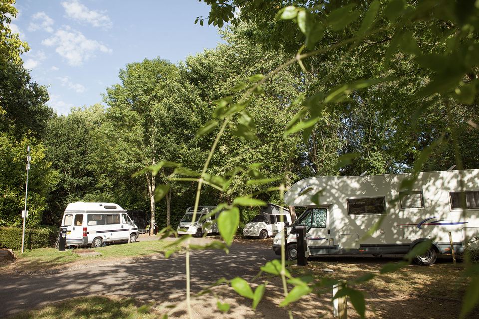 Motorhome pitches in the woodland
