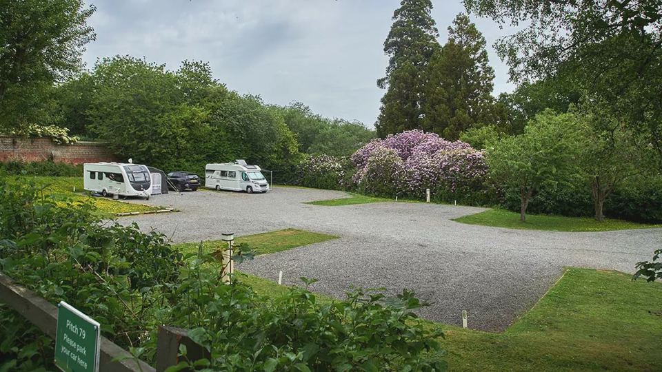 Hardstanding among rhododendrons