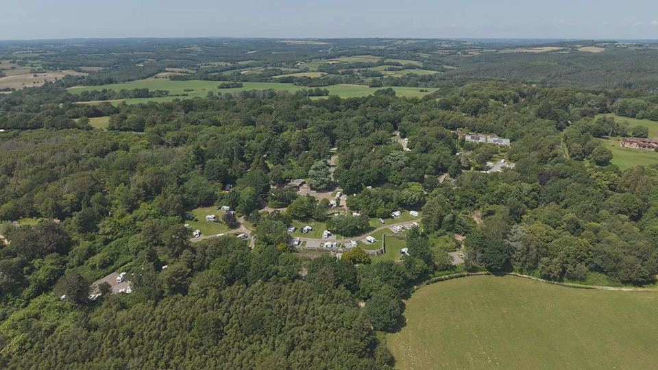 Site from above in woodland