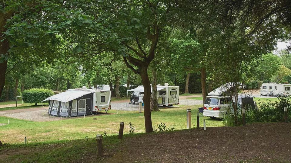 Caravans under the trees