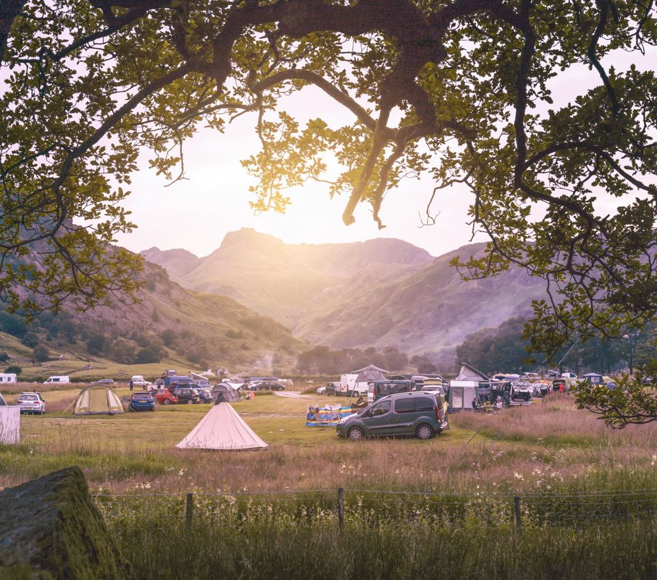 Tents and cars in the meadow