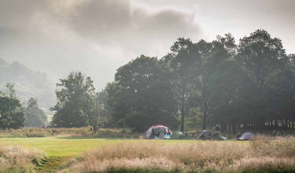 Tents under trees in the mist
