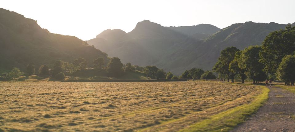 Meadow path in Langdale