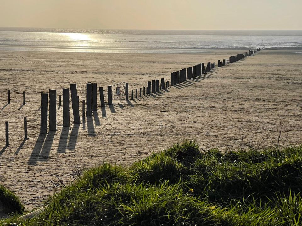 Beach groynes from the dunes