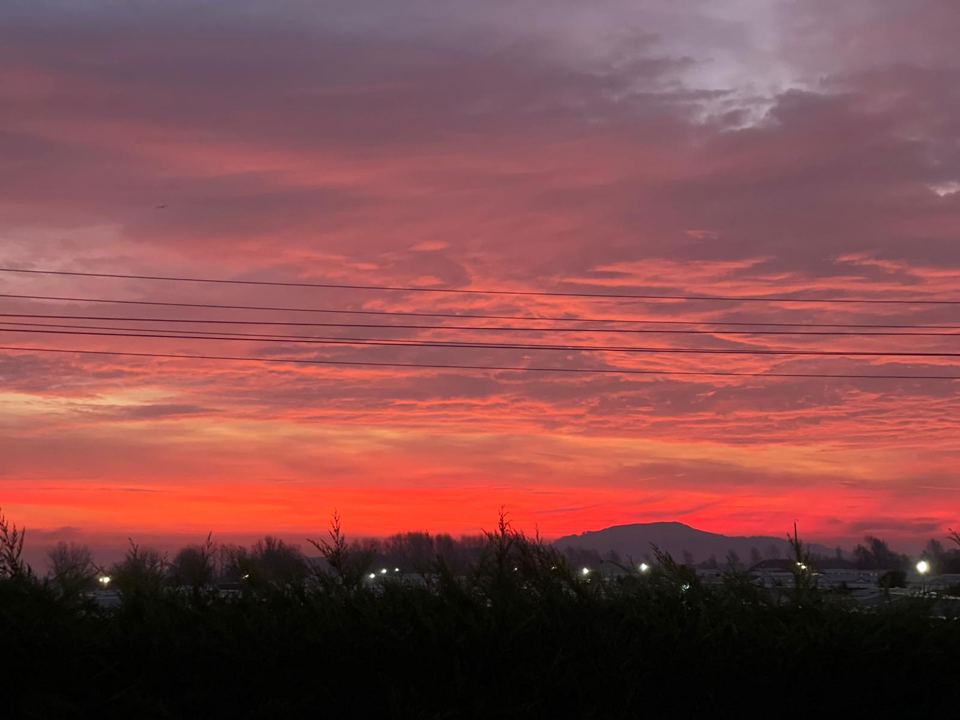 Red sunrise over the park