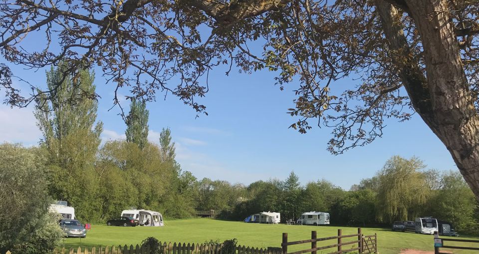 Caravan pitches under trees by the river