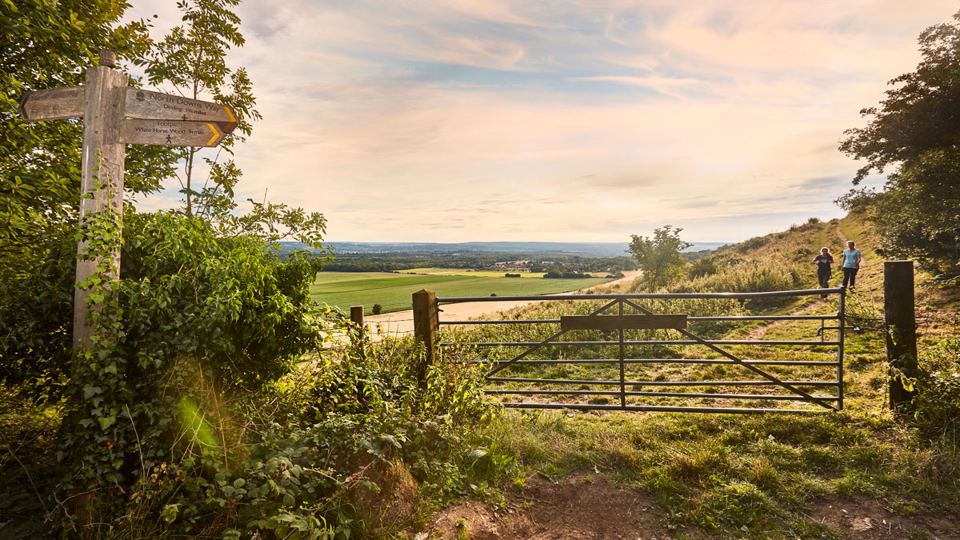 Footpath gate over the downs