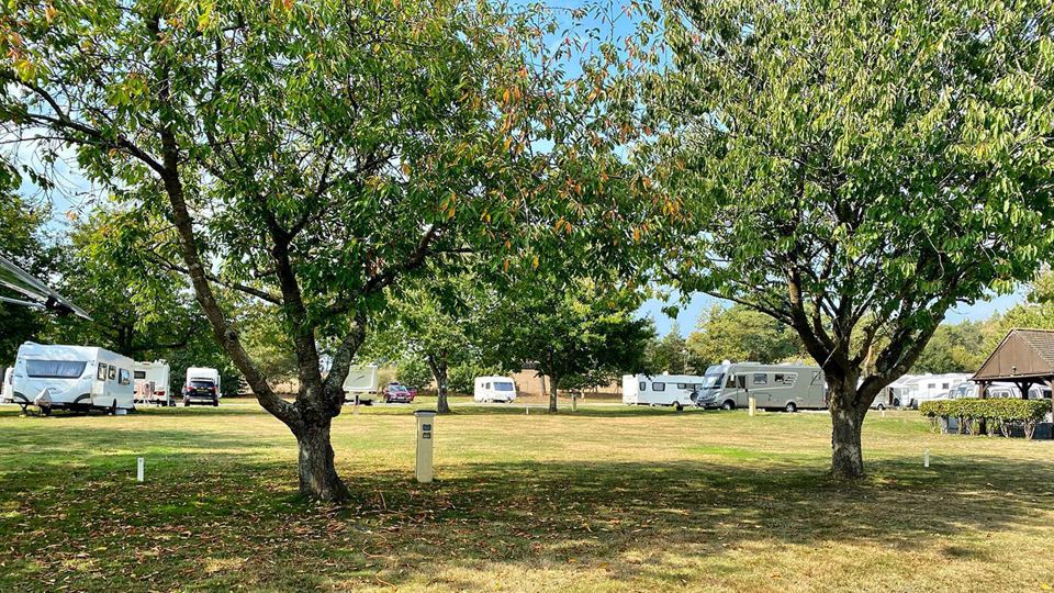 Pitches among the fruit trees