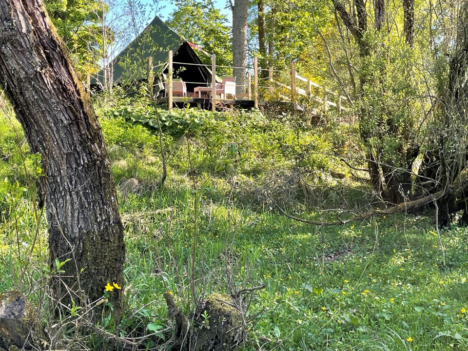 Bell tent in the nature reserve