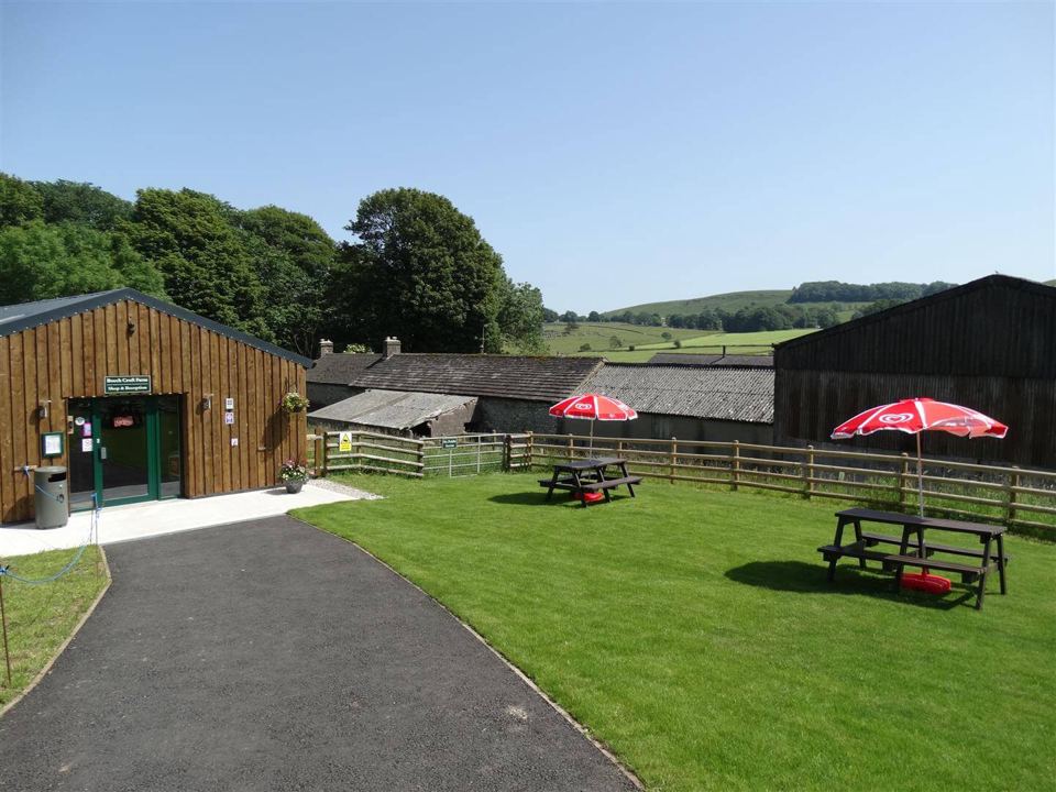 Coffee shop and lawn